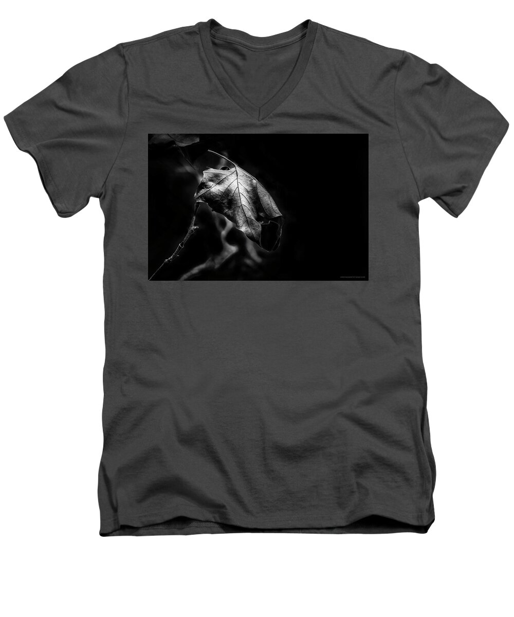 California Men's V-Neck T-Shirt featuring the photograph Yet Beauty will Move On by Denise Dube