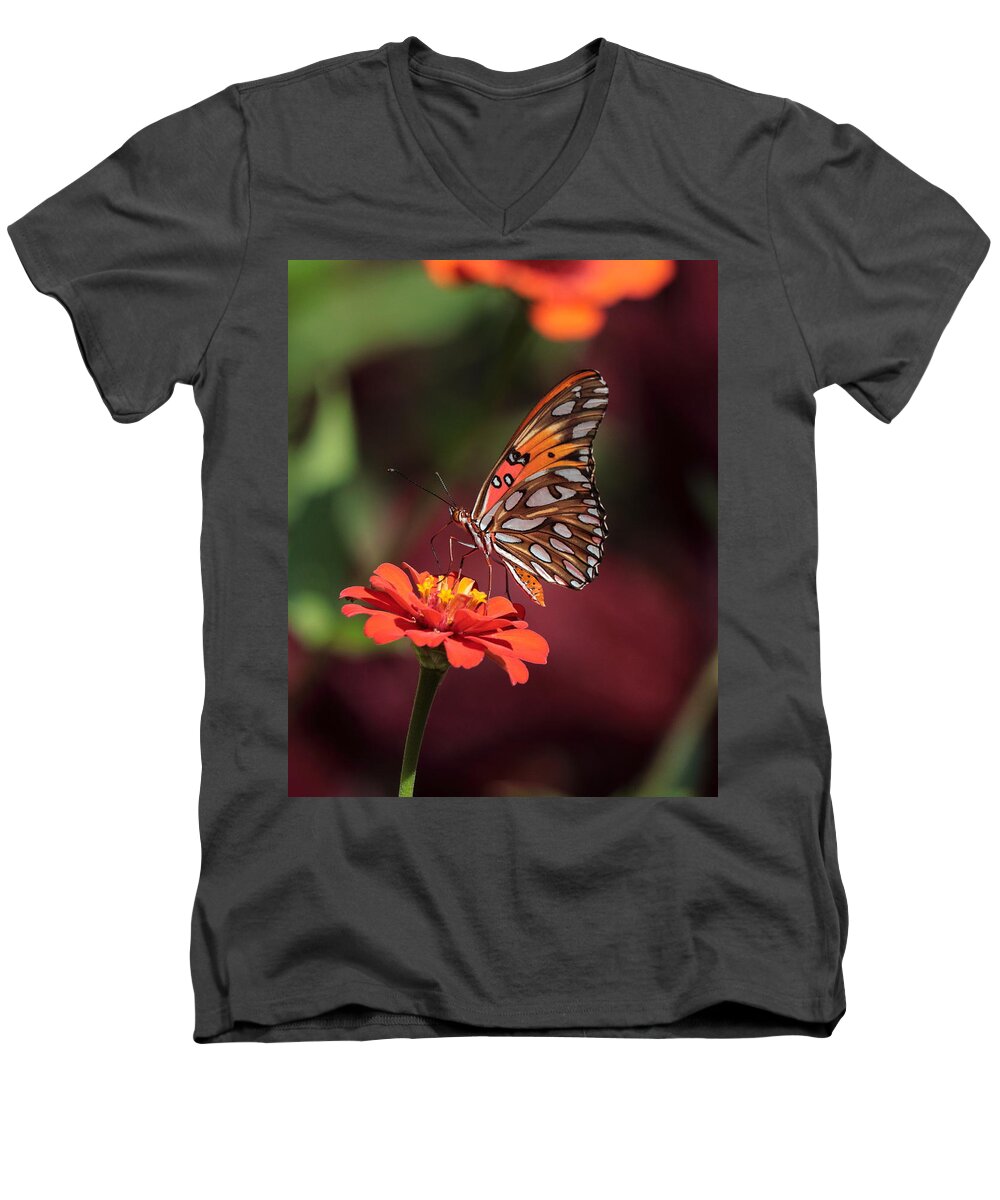 Zinnia Men's V-Neck T-Shirt featuring the photograph Zinnia with Butterfly 2668 by John Moyer