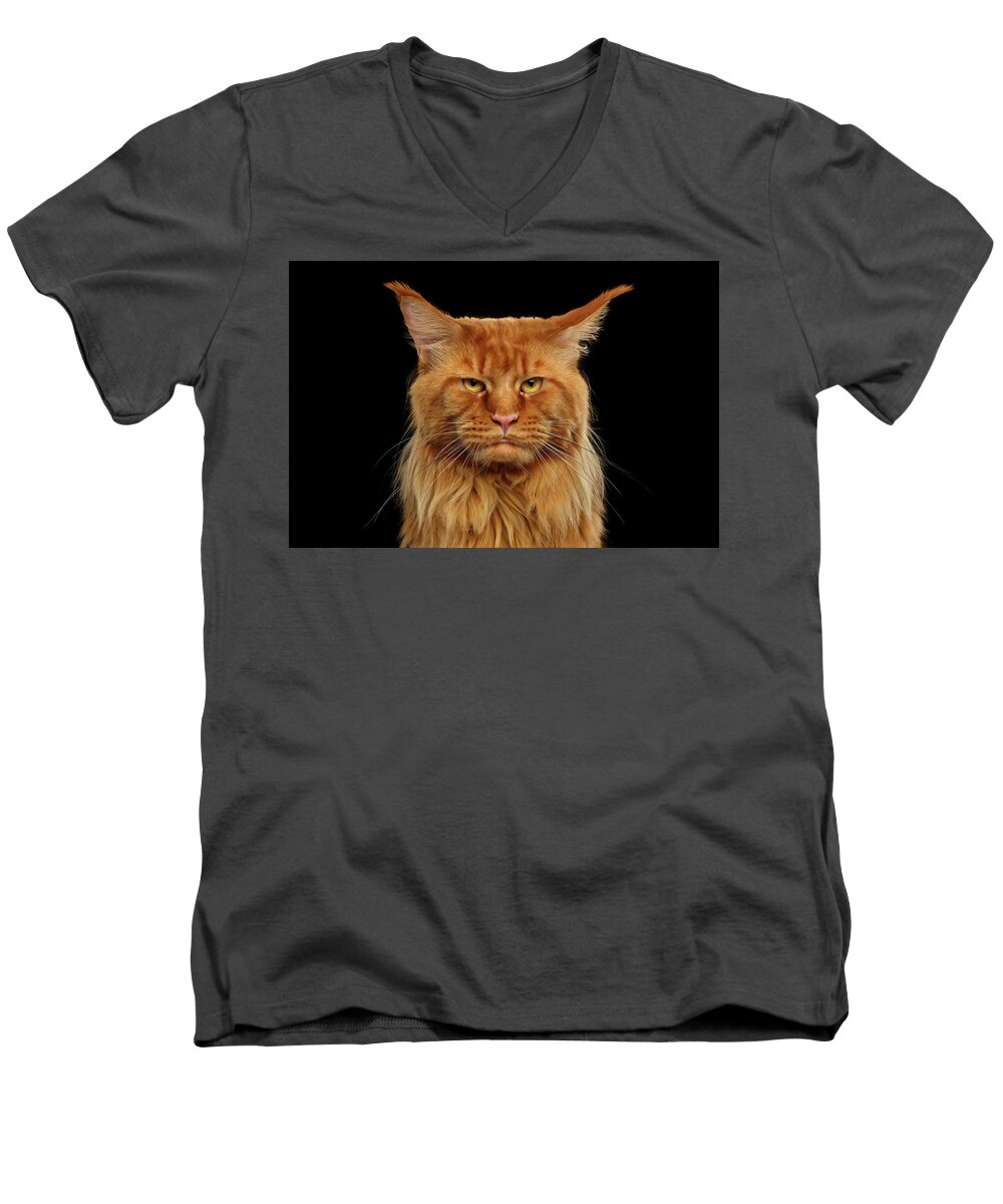 #faatoppicks Men's V-Neck T-Shirt featuring the photograph Angry Ginger Maine Coon Cat Gazing on Black background #2 by Sergey Taran