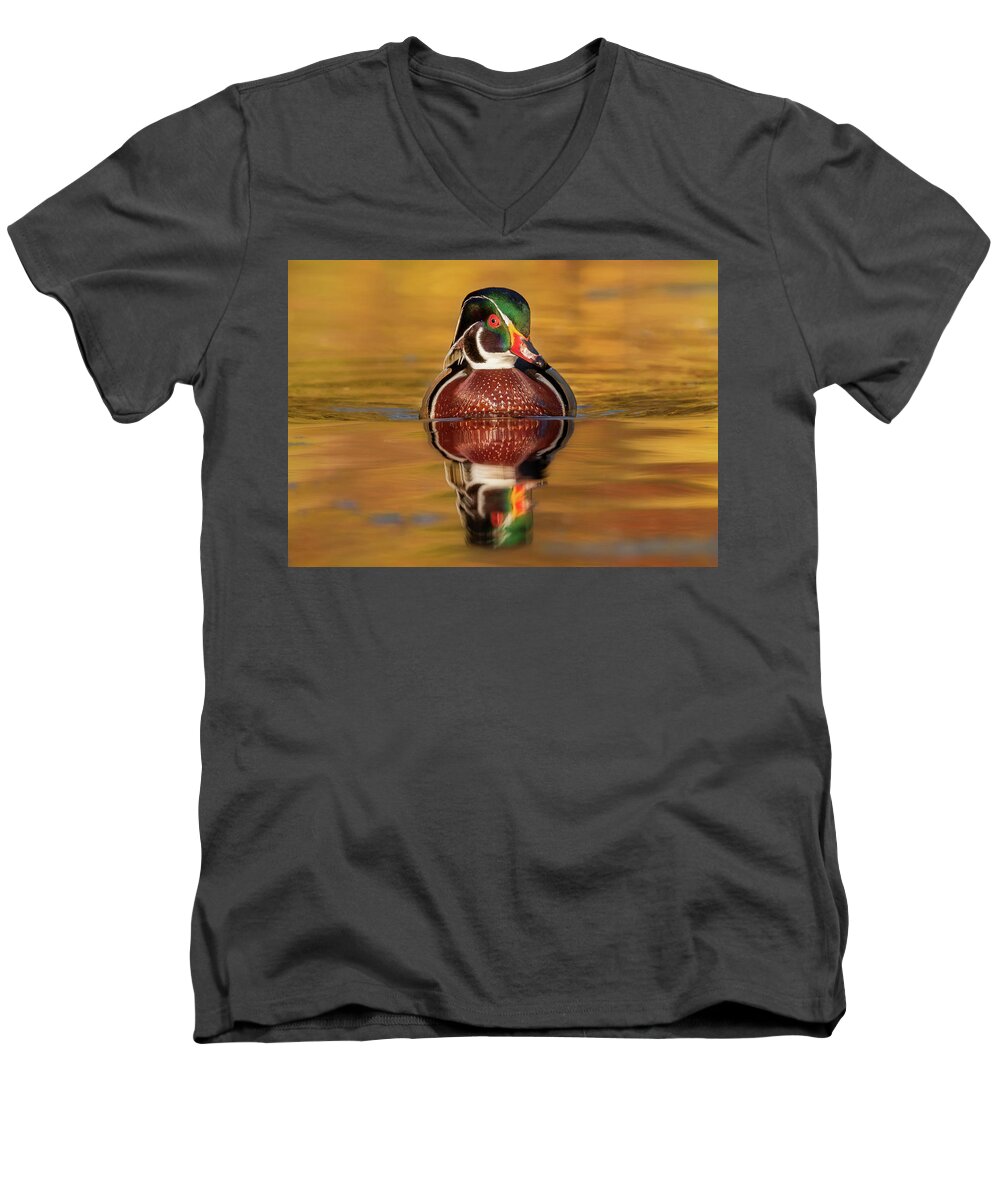 Adult Men's V-Neck T-Shirt featuring the photograph Wood Duck by Jerry Fornarotto