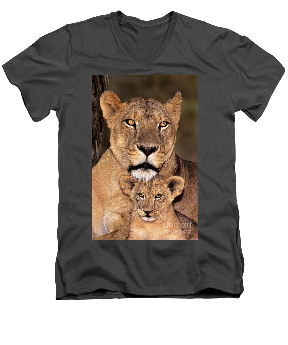 African Lion Men's V-Neck T-Shirt featuring the photograph African Lions Parenthood Wildlife Rescue by Dave Welling