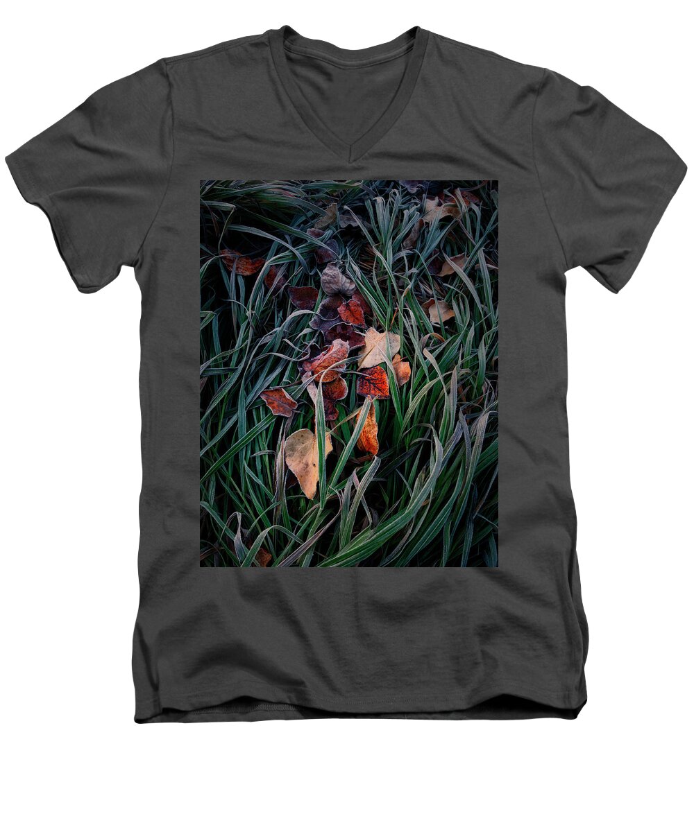 Autumn Leaves Men's V-Neck T-Shirt featuring the photograph Autumn Detail by Dan Jurak