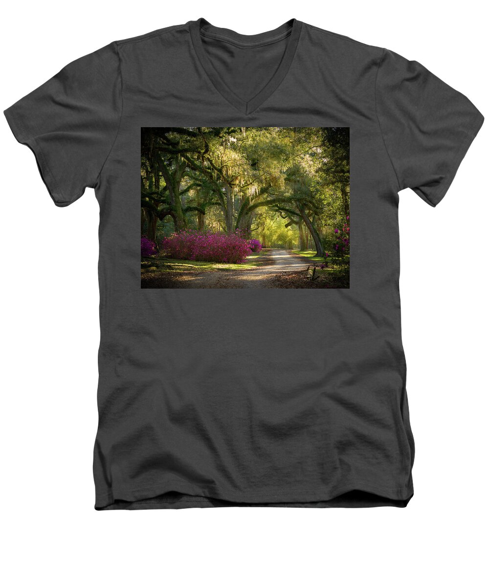 Avery Island Pathway Men's V-Neck T-Shirt featuring the photograph Avery Island Pathway by Jean Noren