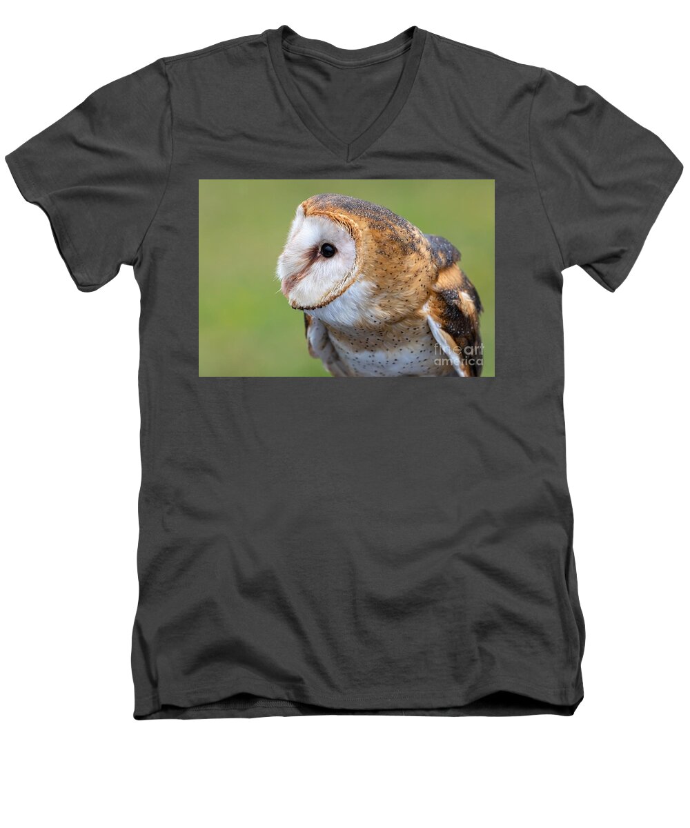 Photography Men's V-Neck T-Shirt featuring the photograph Barn Owl Portrait by Alma Danison
