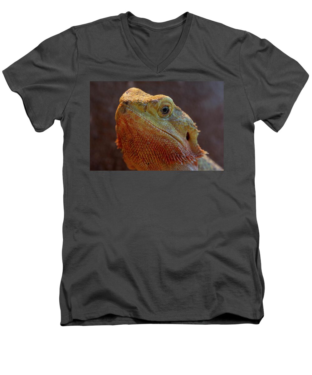 Bearded Dragon Men's V-Neck T-Shirt featuring the photograph Bearded Dragon 1 by Steev Stamford