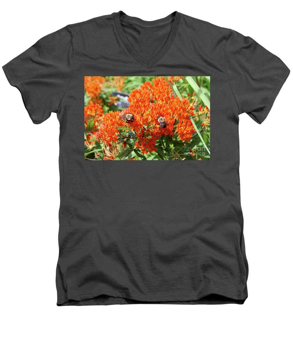 Flower Men's V-Neck T-Shirt featuring the photograph Bees by Flavia Westerwelle