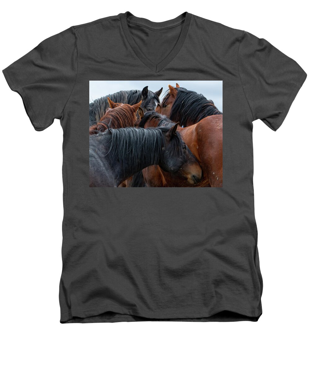 Wild Horses Men's V-Neck T-Shirt featuring the photograph Buddies by Mary Hone