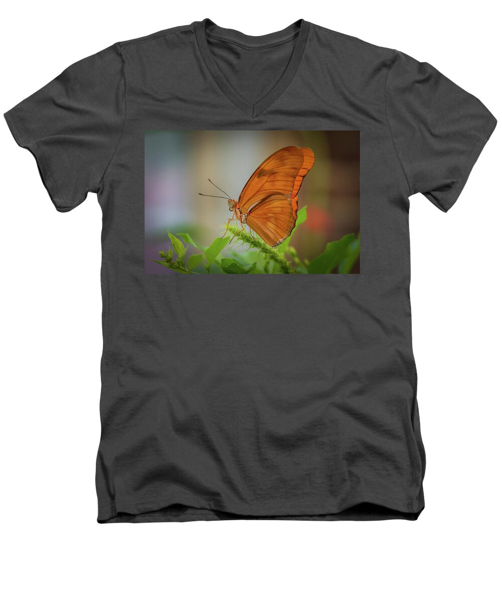 Butterfly Men's V-Neck T-Shirt featuring the photograph Butterfly, Delicate Wings... by Cindy Lark Hartman