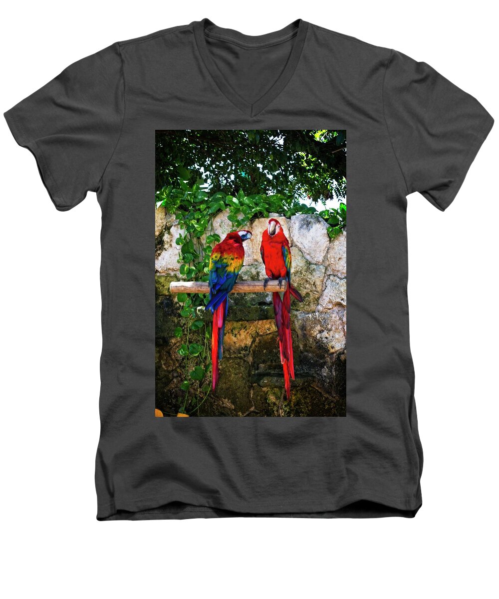 Macaw Men's V-Neck T-Shirt featuring the photograph A Pair Of Colorful Macaws by Pheasant Run Gallery