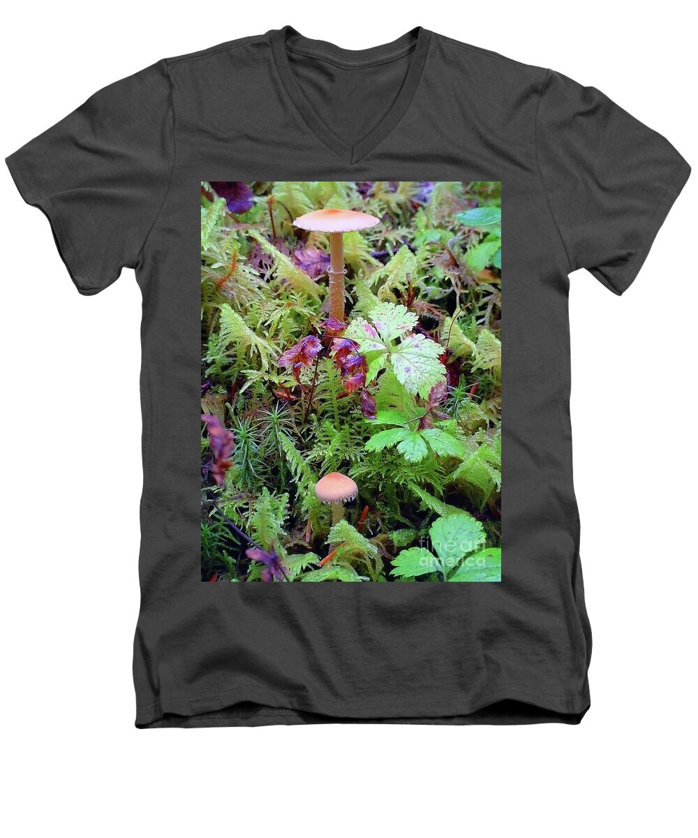 Close Up Men's V-Neck T-Shirt featuring the photograph Dainty mushrooms dense moss by Robert C Paulson Jr