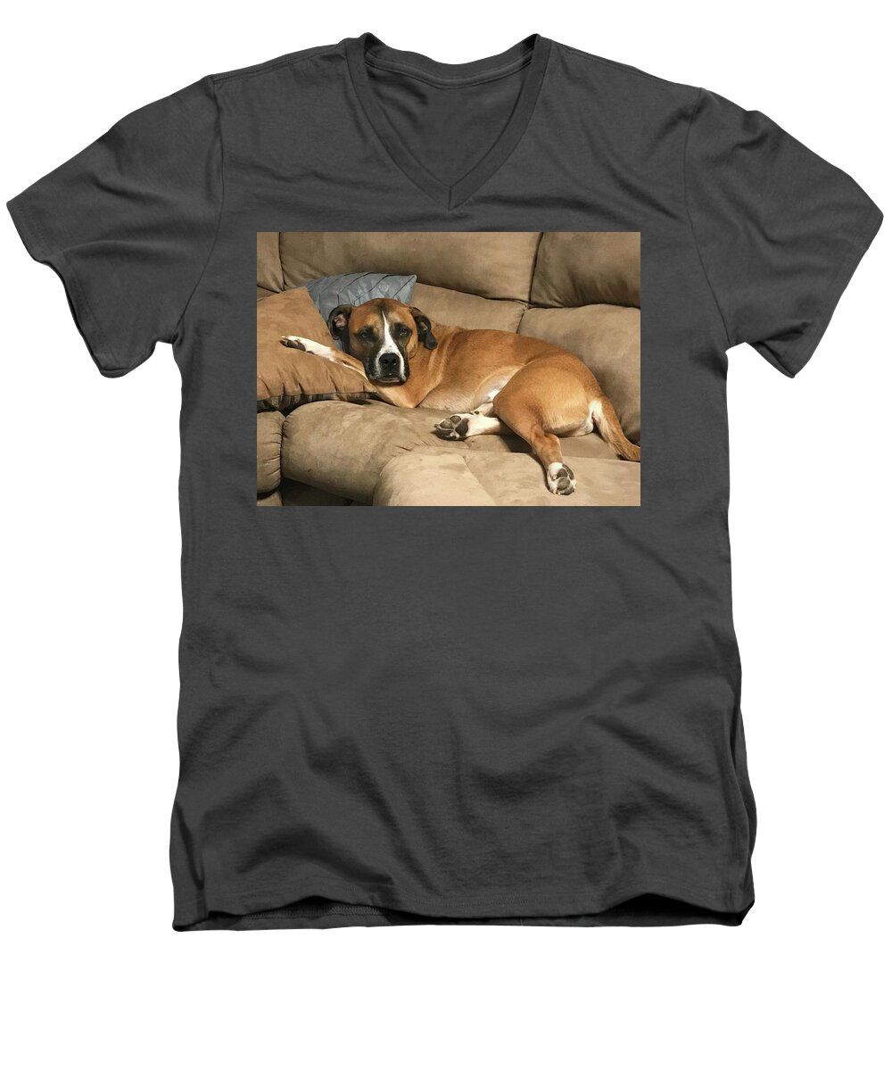 Men's V-Neck T-Shirt featuring the photograph Dog Life by Jack Wilson