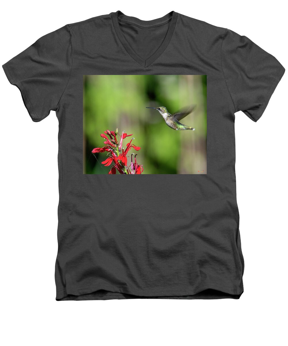Nature Men's V-Neck T-Shirt featuring the photograph Female Ruby-throated Hummingbird DSB0320 by Gerry Gantt