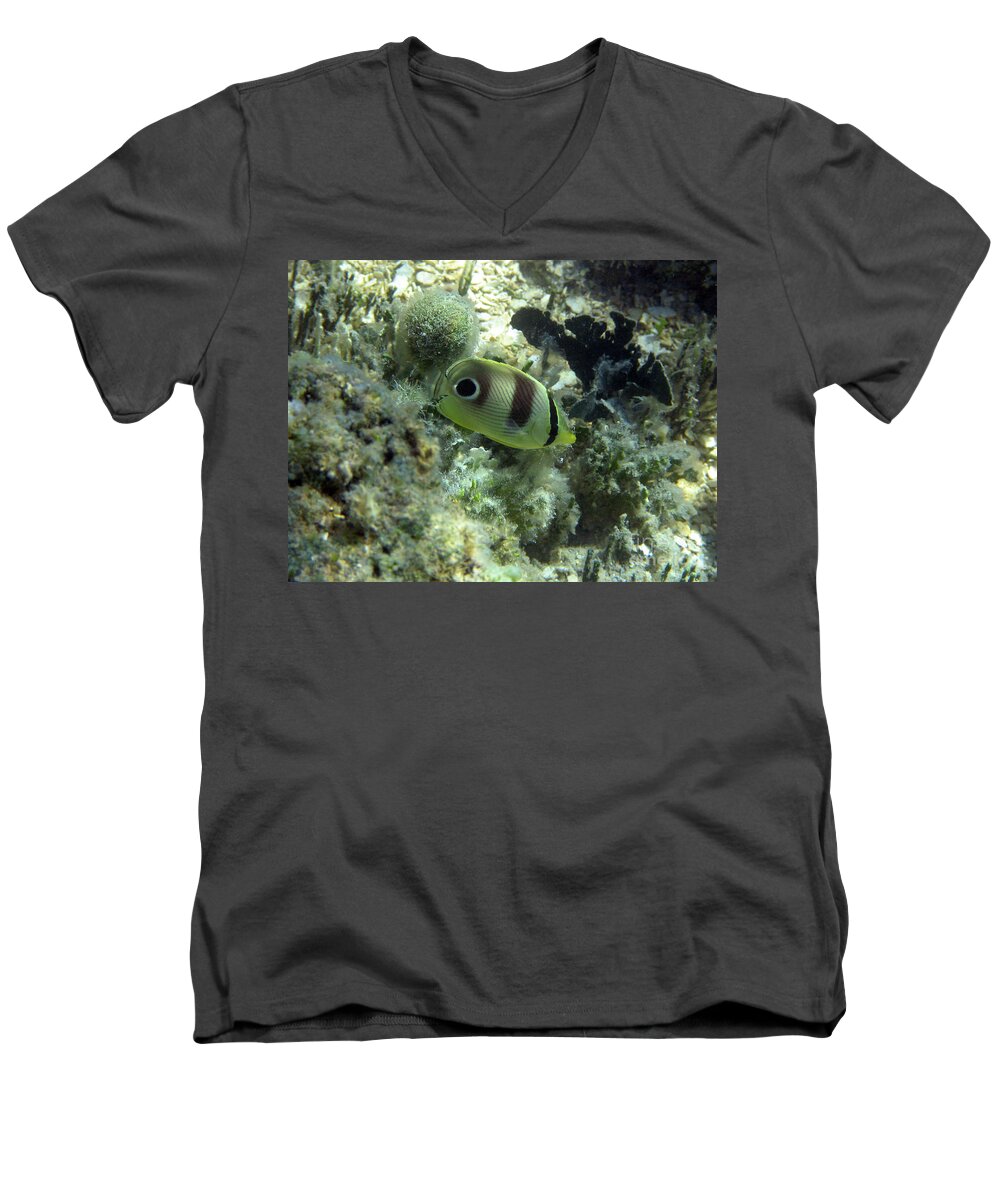 Four Eyed Fish In St. Thomas Men's V-Neck T-Shirt featuring the photograph Four Eyed Fish In St. Thomas by Barbra Telfer