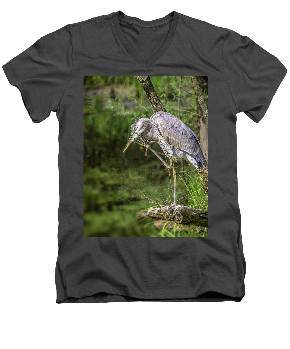 Birds Men's V-Neck T-Shirt featuring the photograph Great Blue Heron Itch by Donald Brown