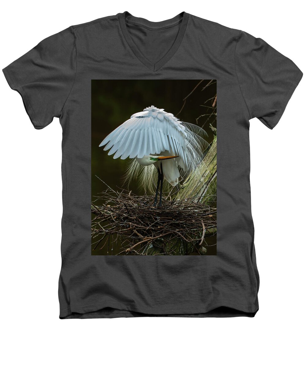 Nature Men's V-Neck T-Shirt featuring the photograph Great Egret Beauty by Donald Brown