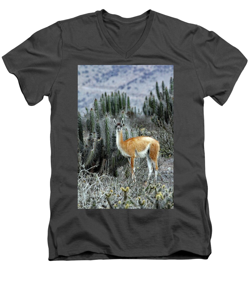 Guanaco Men's V-Neck T-Shirt featuring the photograph In A Cactus Field by Jennifer Robin