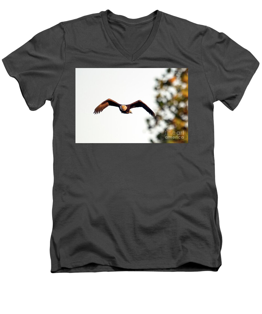 Bald Eagle Men's V-Neck T-Shirt featuring the photograph Incoming by Sam Rino