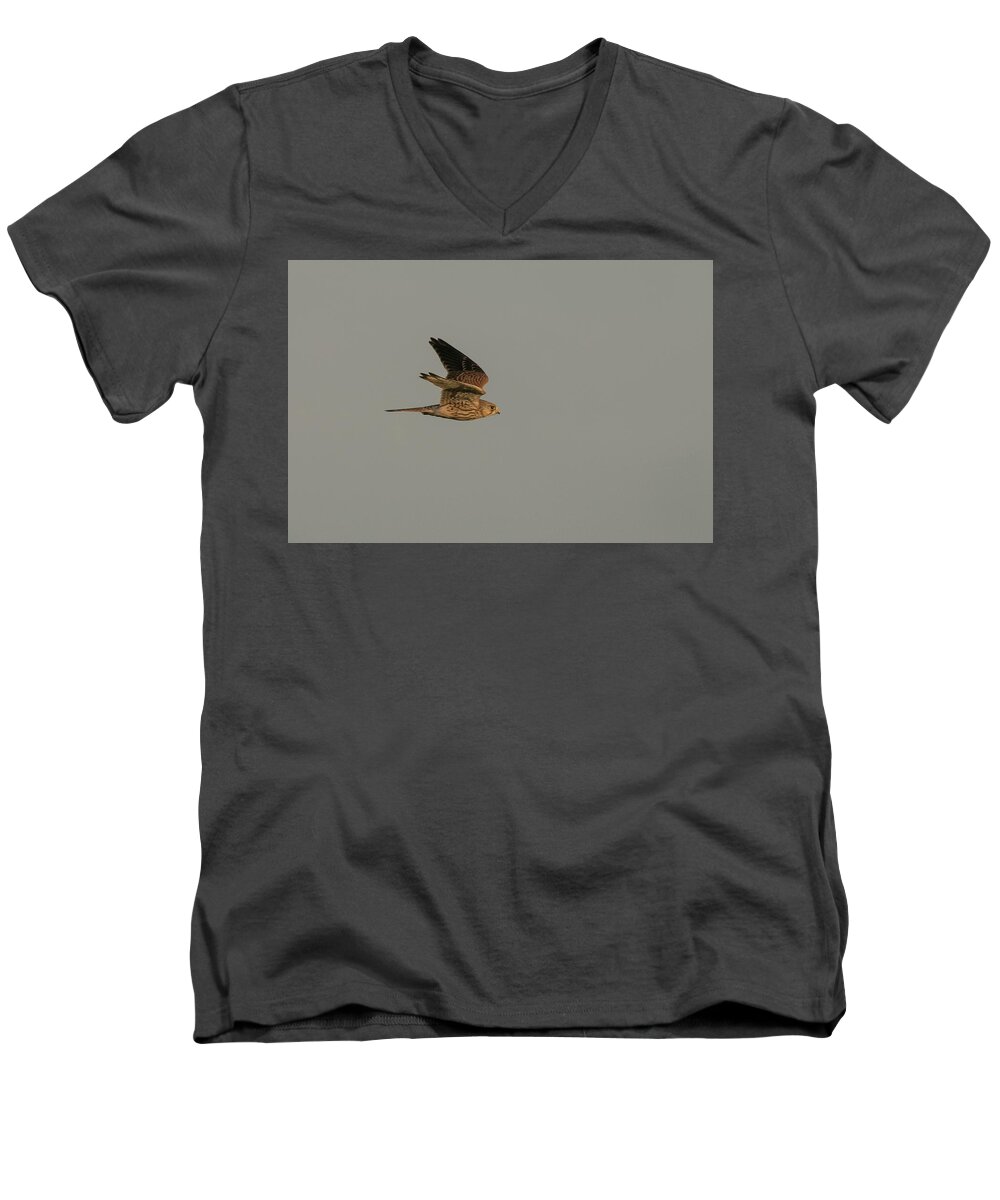 Flyladyphotographybywendycooper Men's V-Neck T-Shirt featuring the photograph Kestrel Sundown Flyby by Wendy Cooper