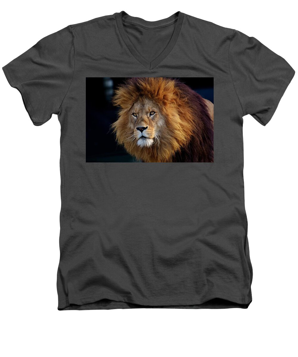  Men's V-Neck T-Shirt featuring the photograph King lion by Top Wallpapers