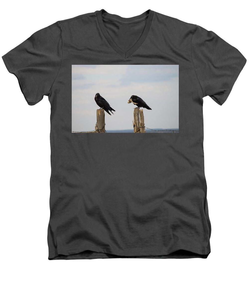Ravens Men's V-Neck T-Shirt featuring the photograph Lunch for the Raven by Jonathan Thompson
