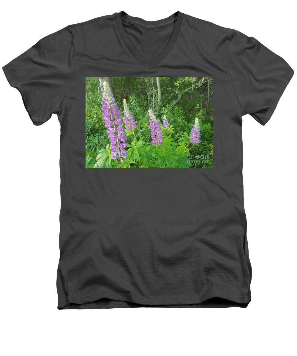 Lupins Men's V-Neck T-Shirt featuring the photograph Lupins by Michael Graham