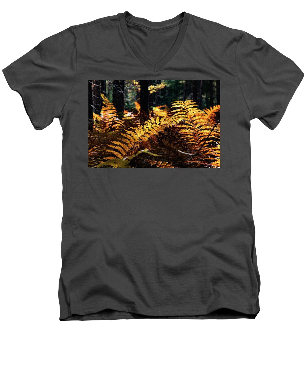 Autumn Men's V-Neck T-Shirt featuring the photograph Maine Autumn Ferns by Jeff Folger