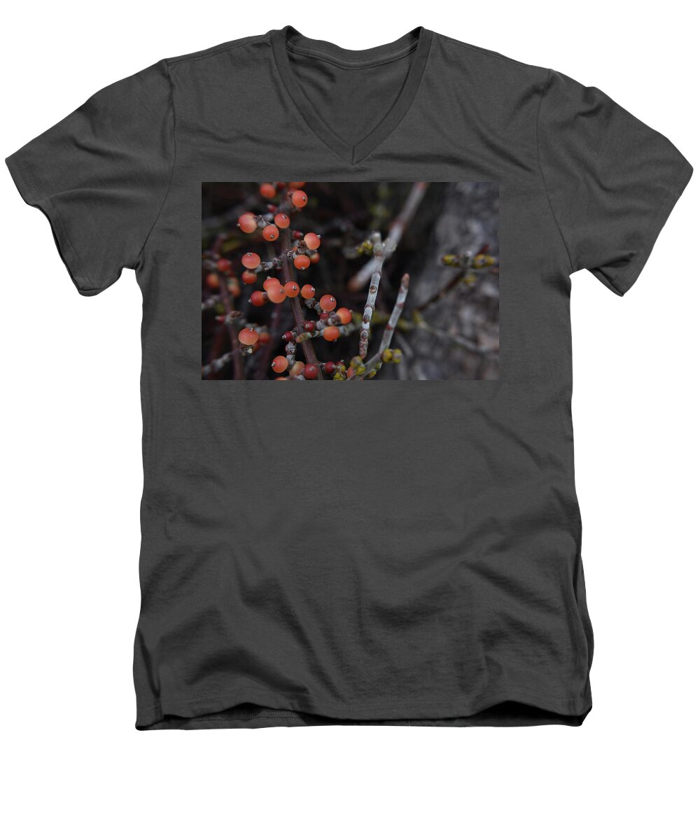 Berries Men's V-Neck T-Shirt featuring the photograph Mistletoe by Melisa Elliott