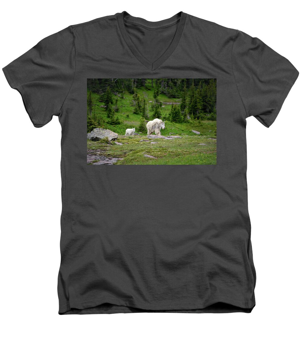Goats Men's V-Neck T-Shirt featuring the photograph Nanny and Kid 1 by Roger Snyder