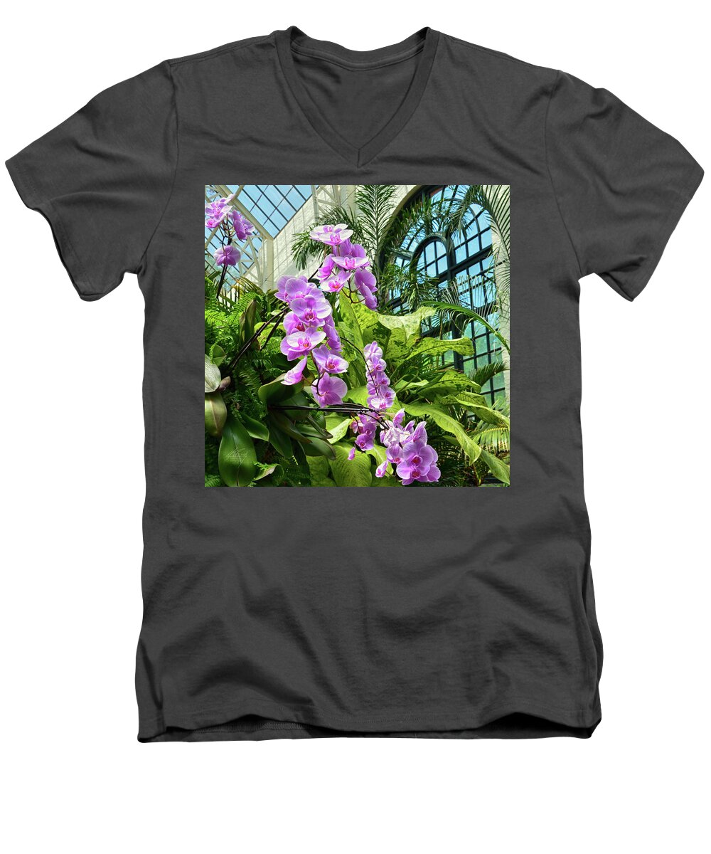 Orchids Men's V-Neck T-Shirt featuring the photograph Orchids by Michael Frank