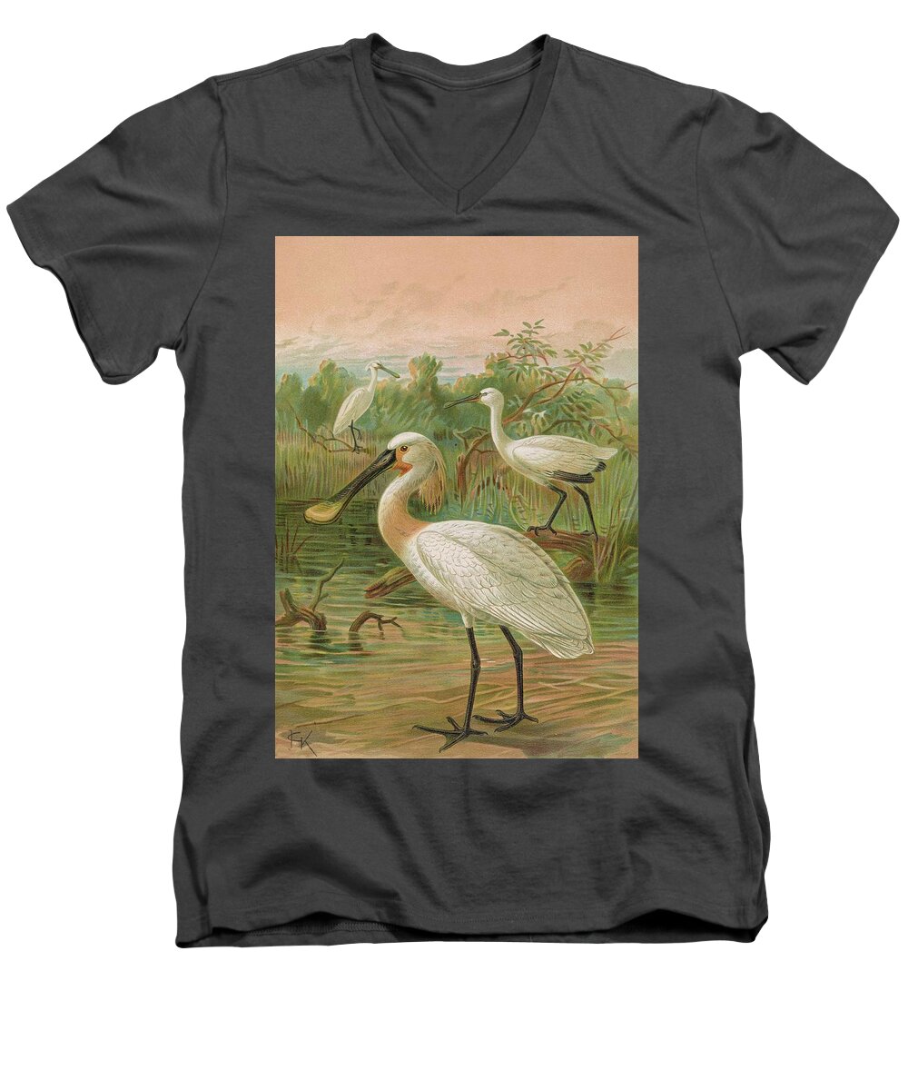 Birds Men's V-Neck T-Shirt featuring the painting Platalea Leucorodia by Johann Friedrich Naumann