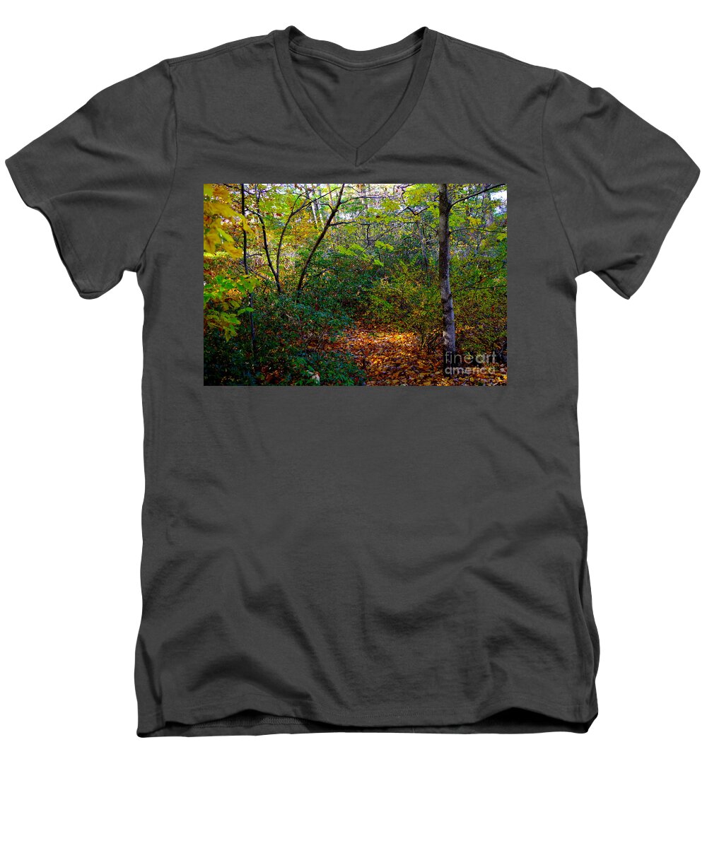 Poconos Forest Autumnn View Men's V-Neck T-Shirt featuring the photograph Poconos Forest Autumn View by Barbra Telfer