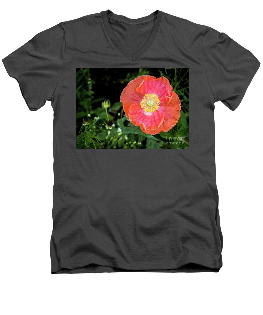 #poppy #coral #flower #spring #summer #petals #yellow #orange #pink #green #wildflowers Men's V-Neck T-Shirt featuring the photograph Poppy by Cheryl McClure