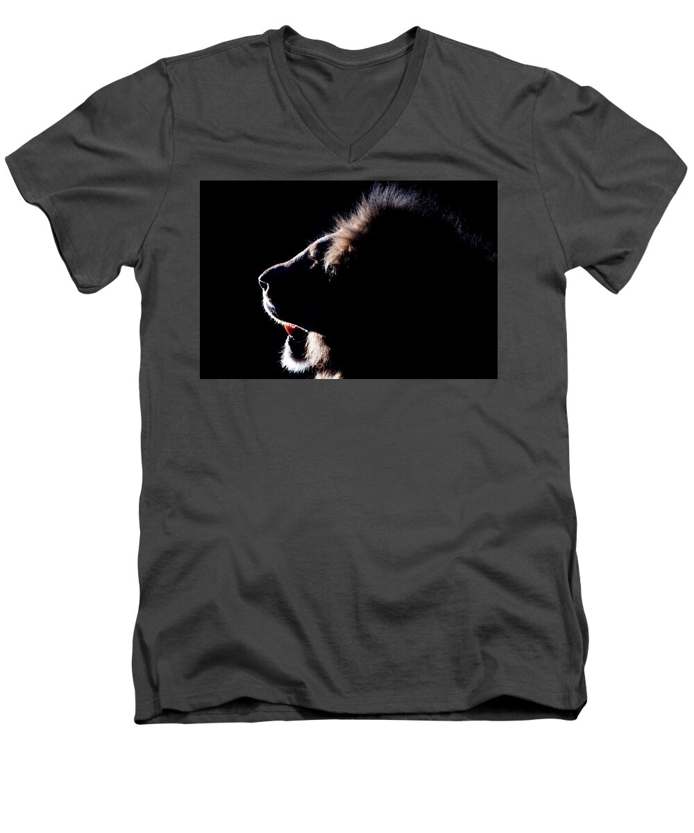 Lion Men's V-Neck T-Shirt featuring the photograph Portrait of a backlit male african lion by Mark Hunter