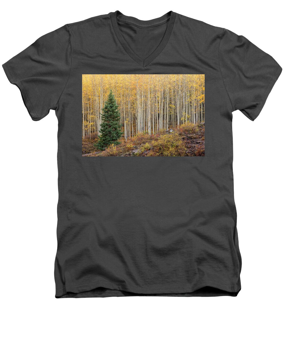 Shimmer Men's V-Neck T-Shirt featuring the photograph Shimmering Aspens by Angela Moyer
