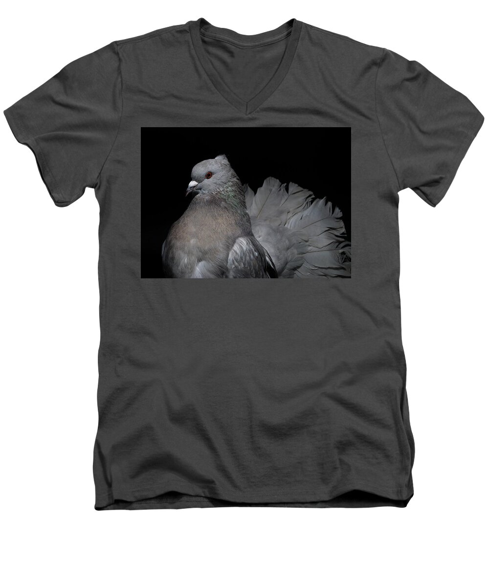 Fantail Men's V-Neck T-Shirt featuring the photograph Silver Indian Fantail Pigeon by Nathan Abbott