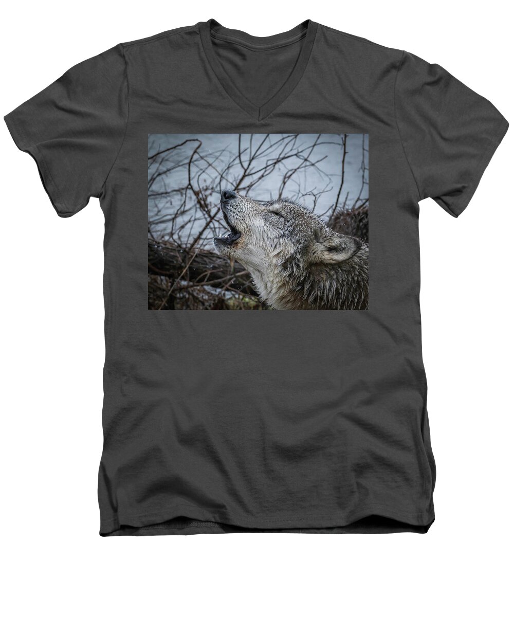Wolf Wolves Howling Men's V-Neck T-Shirt featuring the photograph Singing the Song of My People by Laura Hedien