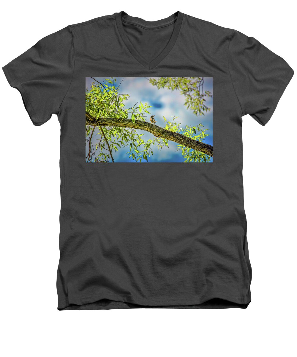 Someone Coming? Men's V-Neck T-Shirt featuring the photograph Someone coming? #i2 by Leif Sohlman