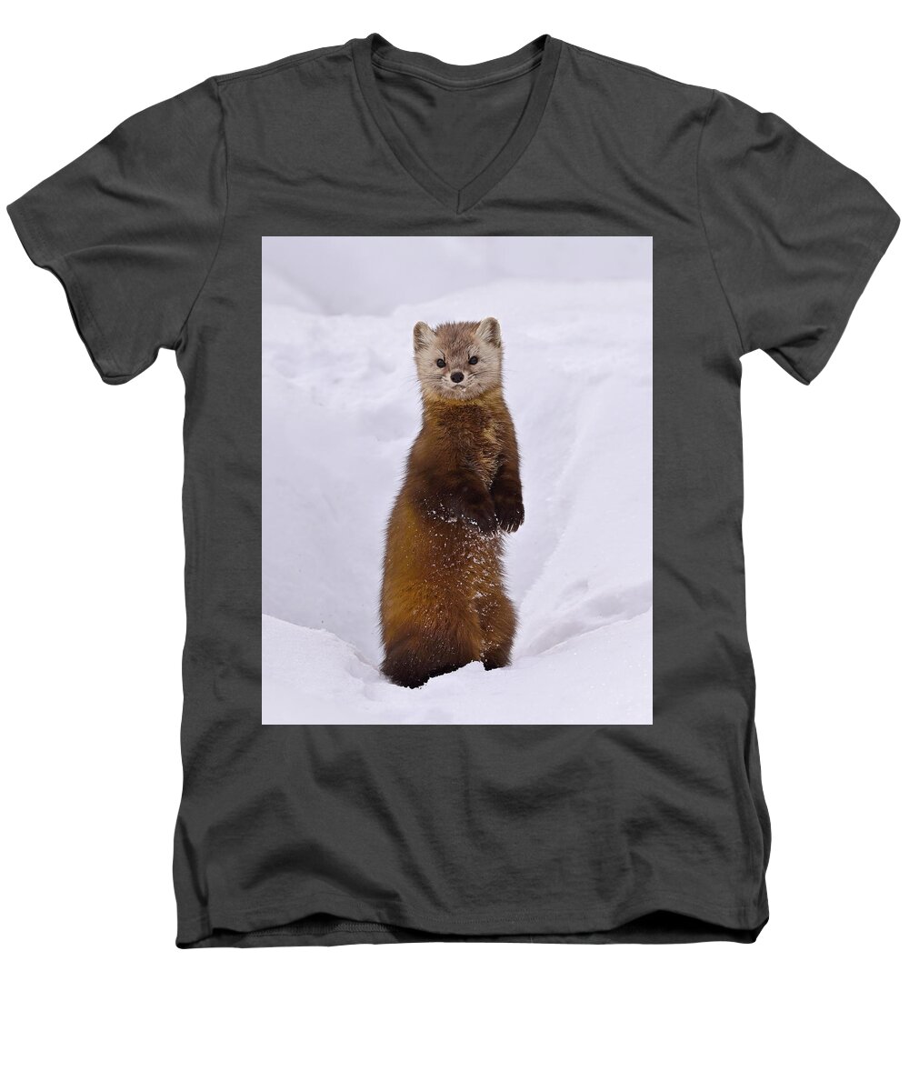 American Marten Men's V-Neck T-Shirt featuring the photograph Space Invader by Tony Beck