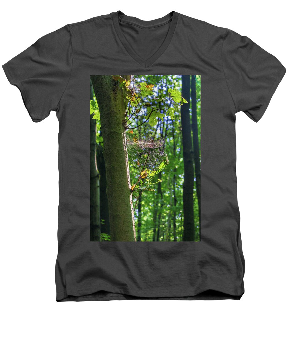 Spider Web Men's V-Neck T-Shirt featuring the photograph Spider web in a forest by Sun Travels