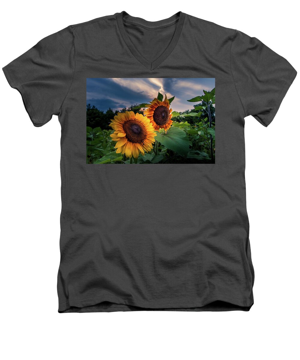 Sunflower Men's V-Neck T-Shirt featuring the photograph Sunflowers in Evening by Allin Sorenson