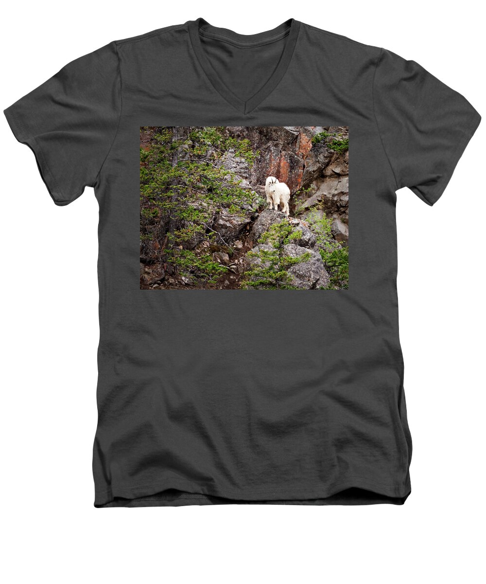 Beautiful Men's V-Neck T-Shirt featuring the photograph Switchback Goat 4 by Roger Snyder