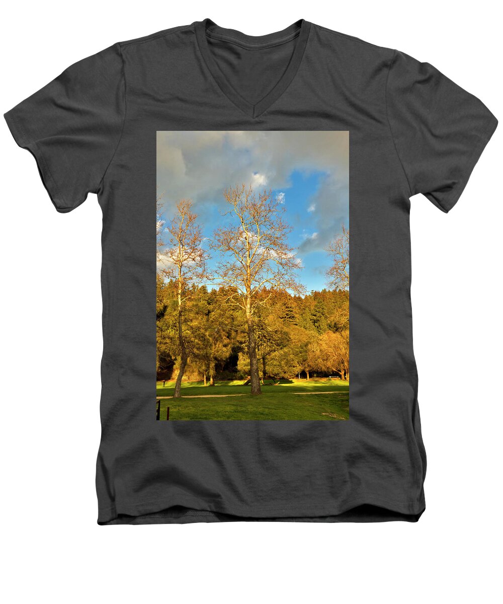 Trees Men's V-Neck T-Shirt featuring the photograph Sycamores and Oaks by Larry Darnell