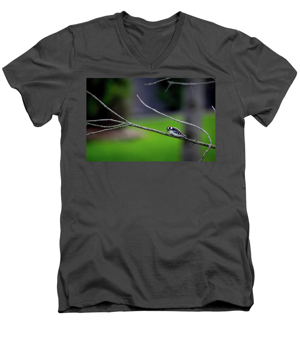 Photographs Men's V-Neck T-Shirt featuring the photograph The Downey Woodpecker by Pheasant Run Gallery