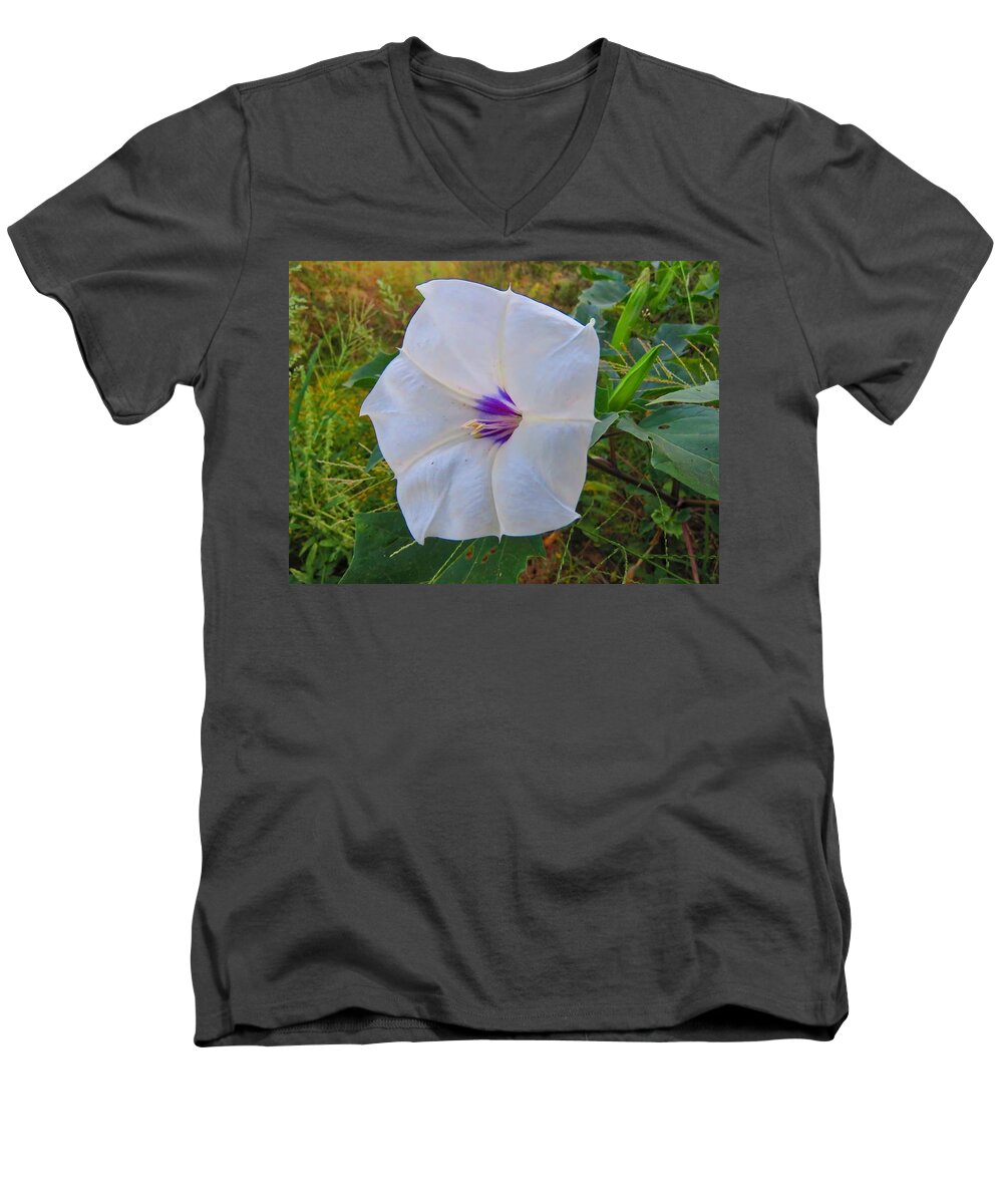 Arizona Men's V-Neck T-Shirt featuring the photograph The Perfect Flower - Sacred Datura by Judy Kennedy