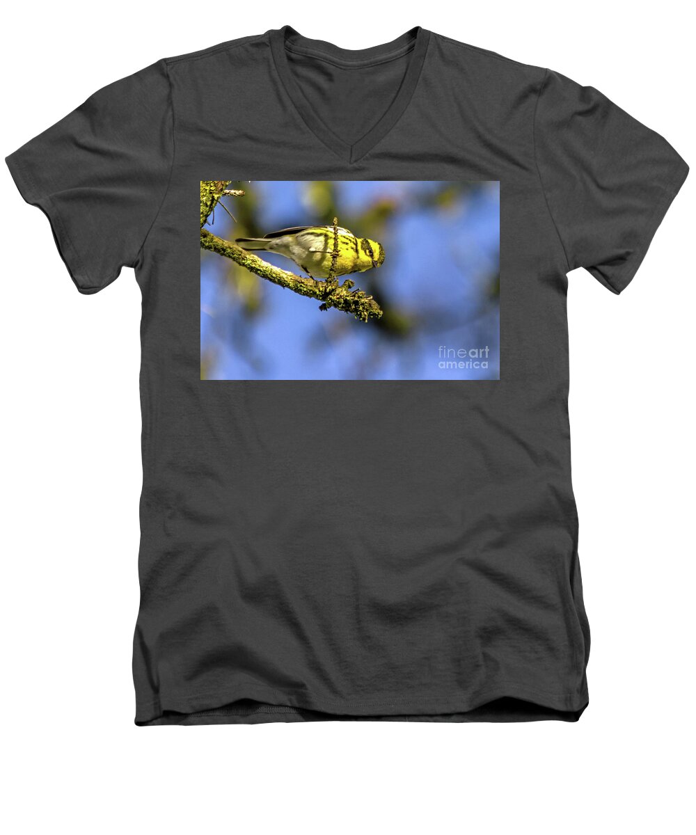 Townsend's Warbler Men's V-Neck T-Shirt featuring the photograph Townsend's Overhead by Kate Brown