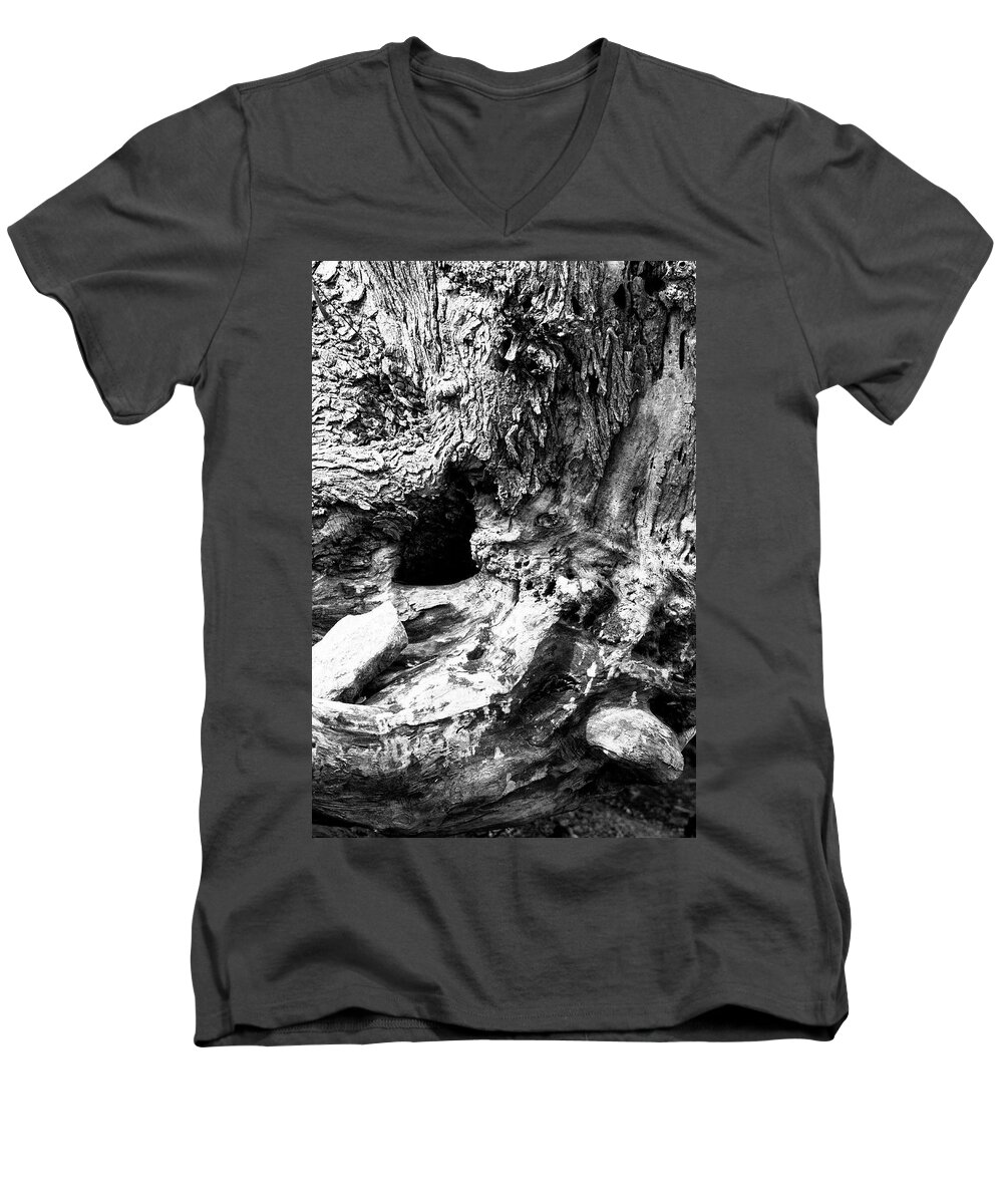 Stump Men's V-Neck T-Shirt featuring the photograph Weathered Stump by Bob Decker