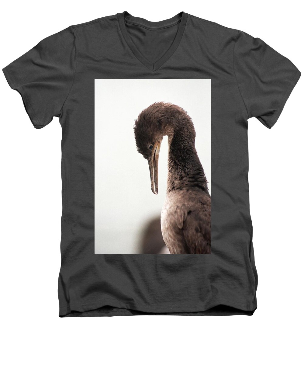 Fine Art America Men's V-Neck T-Shirt featuring the photograph Well Groomed by Andrew Hewett