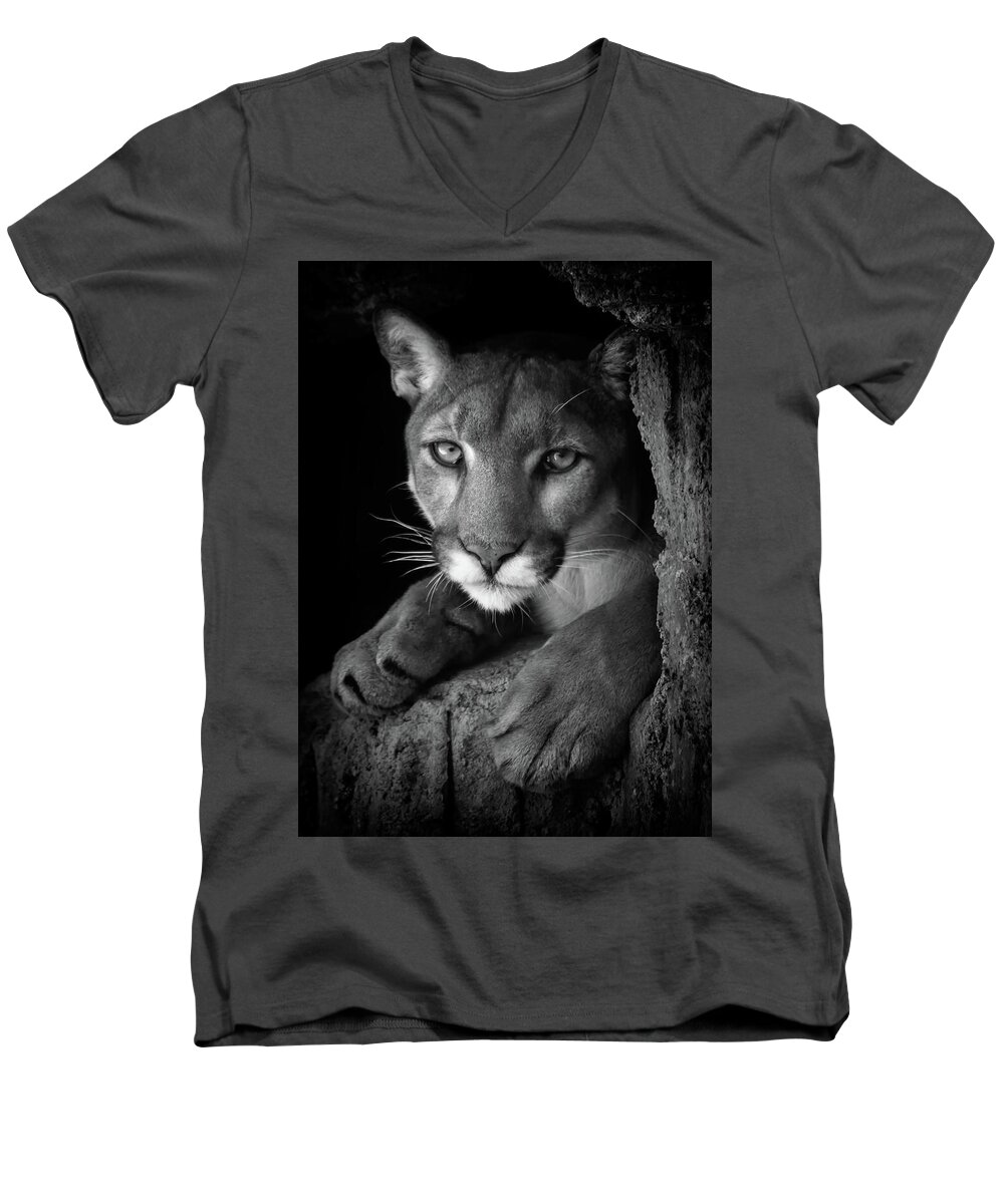 Mountain Lion Men's V-Neck T-Shirt featuring the photograph What Now by Elaine Malott