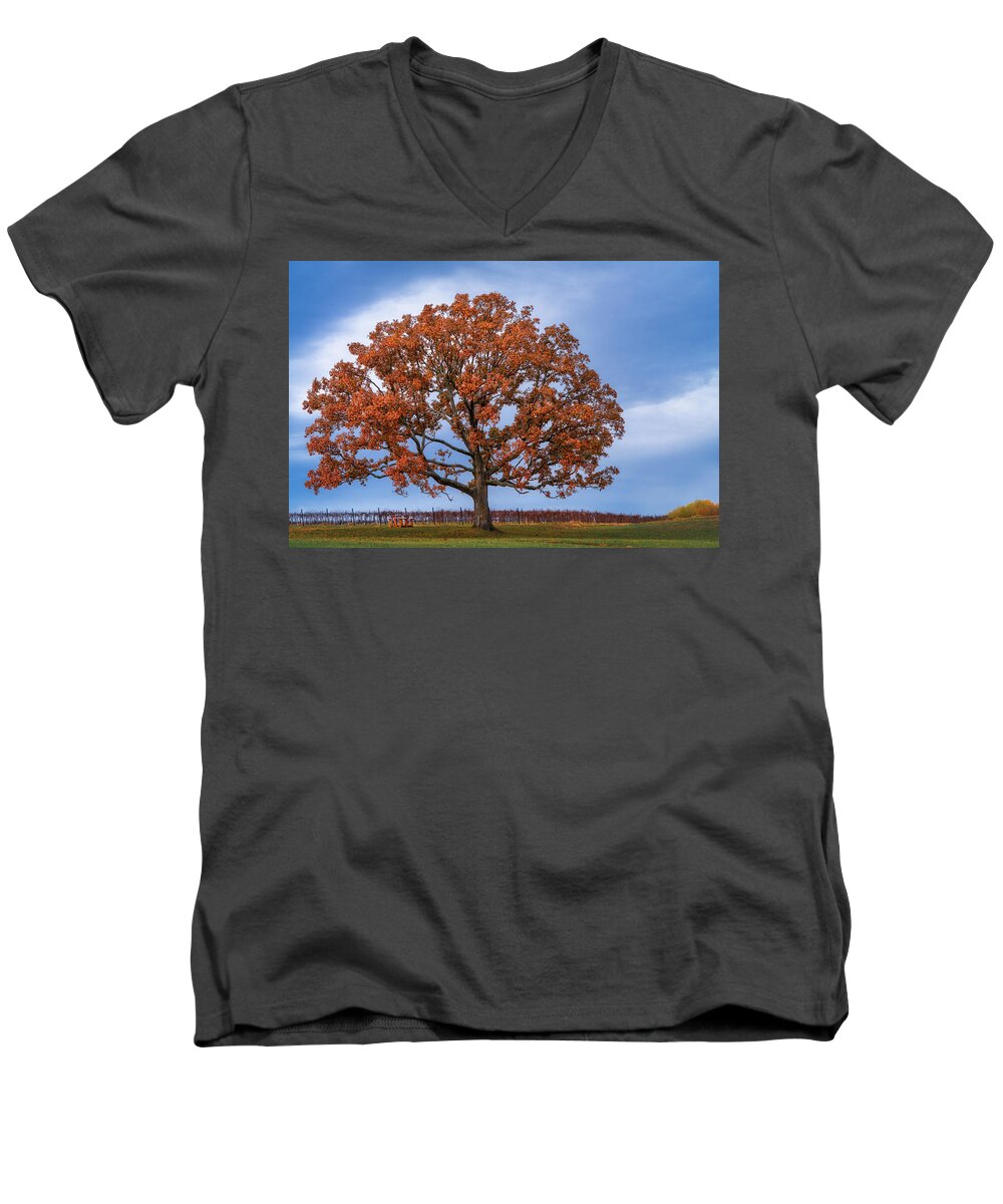 Autumn Men's V-Neck T-Shirt featuring the photograph Wine Time by Robert FERD Frank