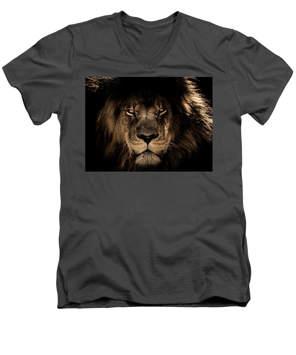  Men's V-Neck T-Shirt featuring the photograph Wise lion by Top Wallpapers